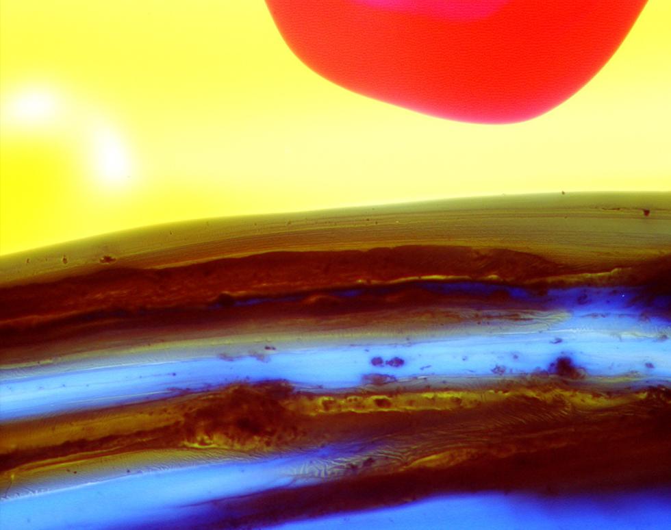 Desert Sunrise - Meg Ashton Key